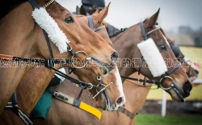 AG尊时凯龙人生就博